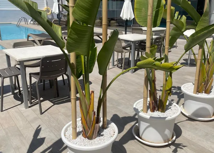 Apartamentos Vistamar II